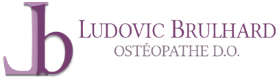 Logo Ludovic Brulhard